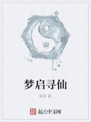 梦启寻仙