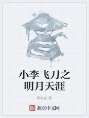 小李飞刀之棋局