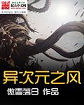 异次元之风