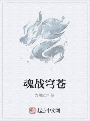 魂战穹苍