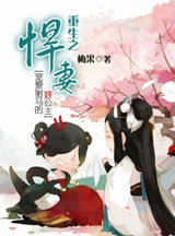 重生之悍妻