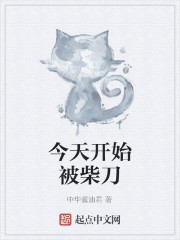 今天开始被柴刀