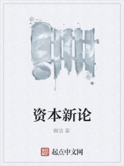 资本新论